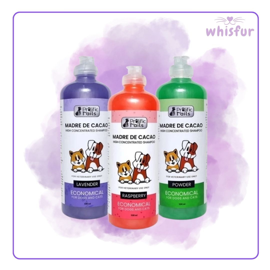 Three bottles of Madre de Cacao pet shampoo with different scents on a purple background, branded 'whisfur'.