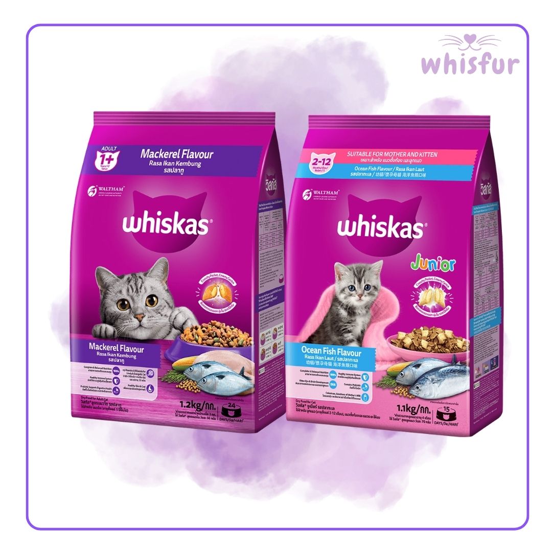 An Image of Whiskas Dry Food for adult cats and kitten with the logo of Whisfur Pet Supplies at the upper right corner.