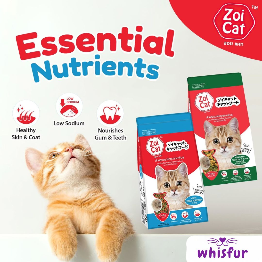 Zoi Dry Food For Cats