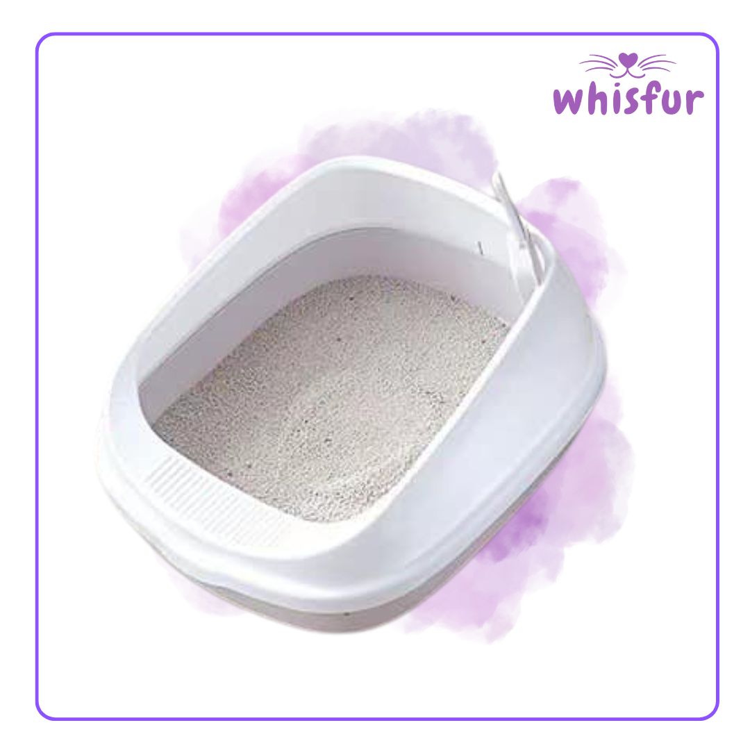 An Image of Litter Box for Cats (pc)1set highside medium with the logo of Whisfur Pet Supplies at the upper right corner.