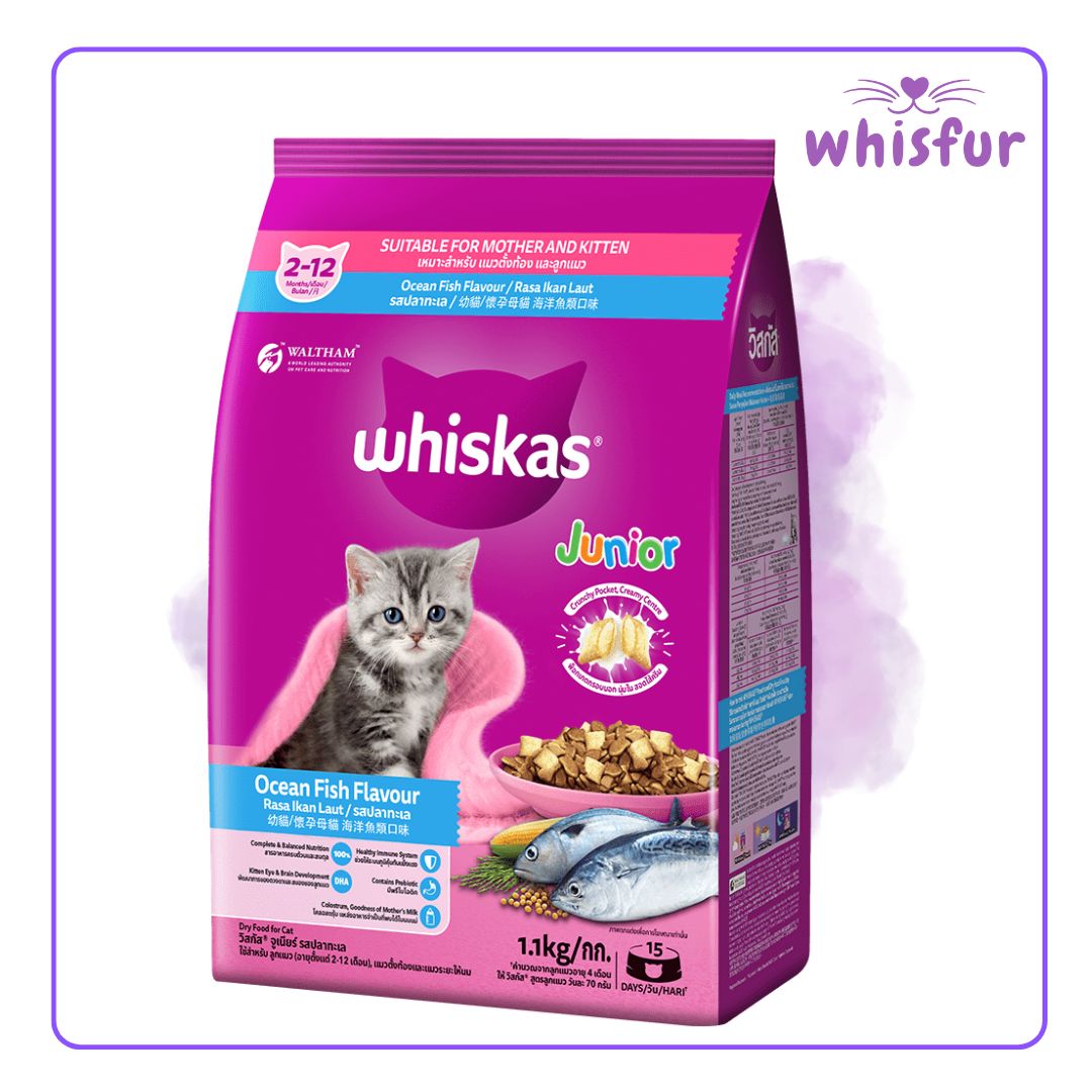 Whiskas Dry Food for Cats