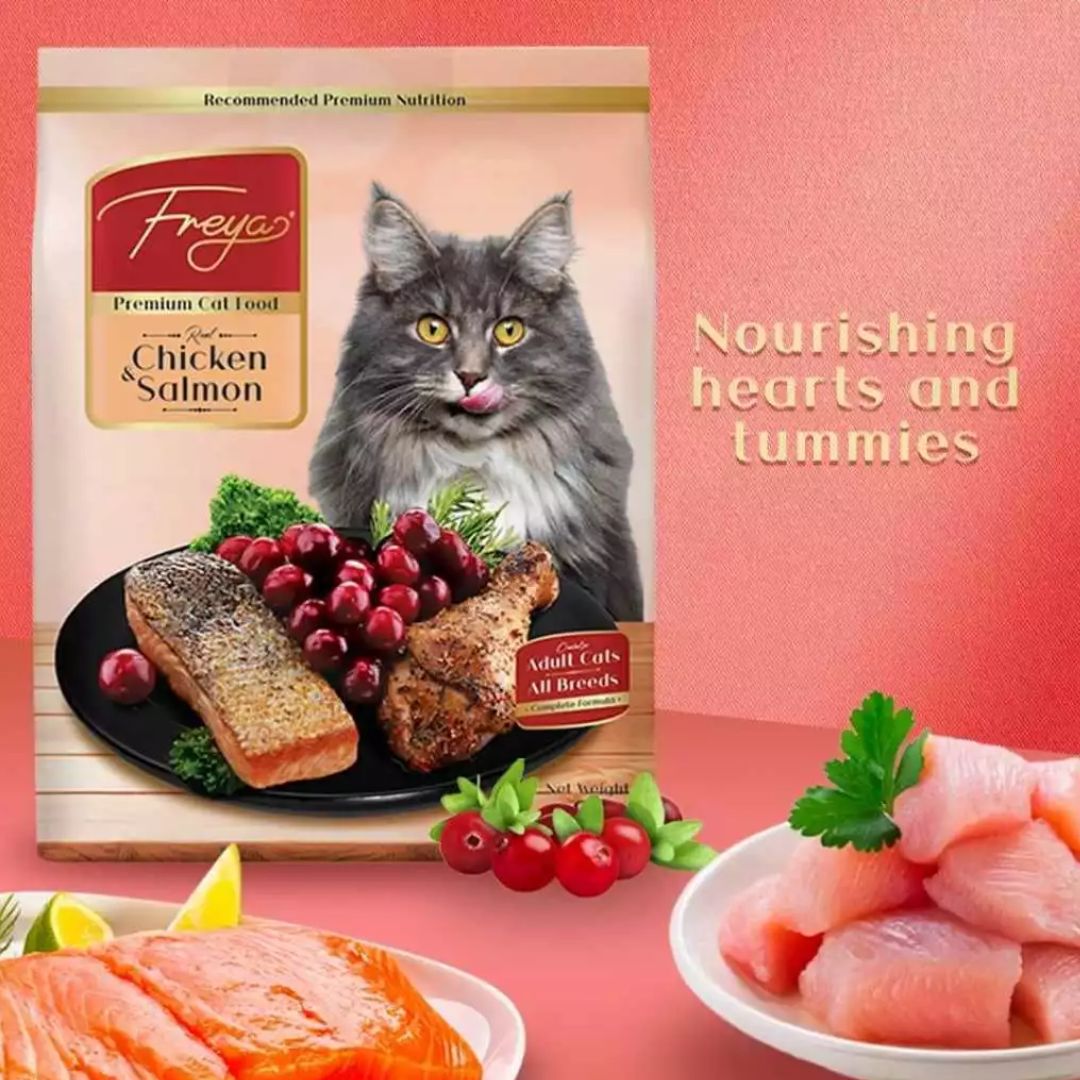 Freya Premium Dry Cat Food