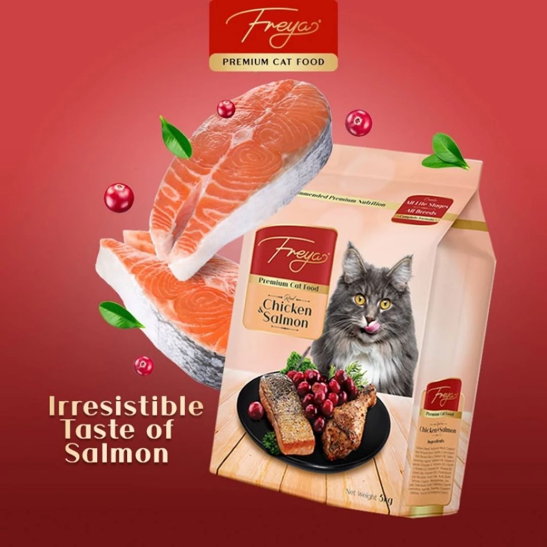 Freya Premium Dry Cat Food