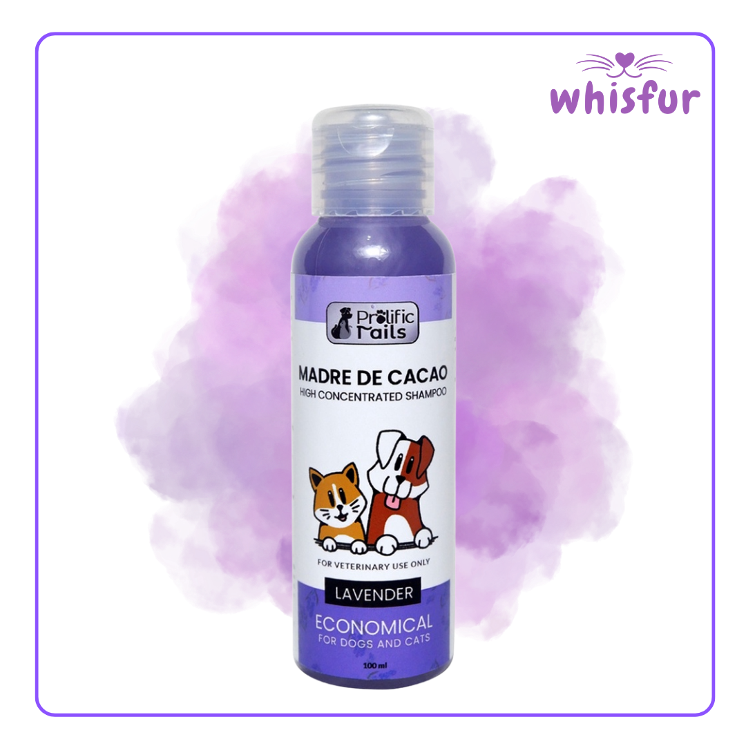 An Image of Prolific Tails Madre De Cacao Pet Shampoo 1 Bottle 100Ml Lavender with the logo of Whisfur Pet Supplies at the upper right corner.