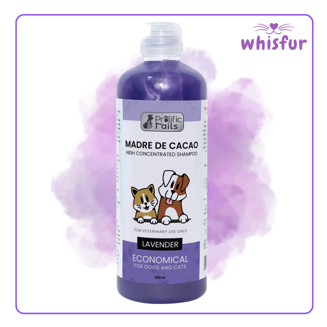 An Image of Prolific Tails Madre De Cacao Pet Shampoo 1 Bottle 500Ml Lavender with the logo of Whisfur Pet Supplies at the upper right corner.