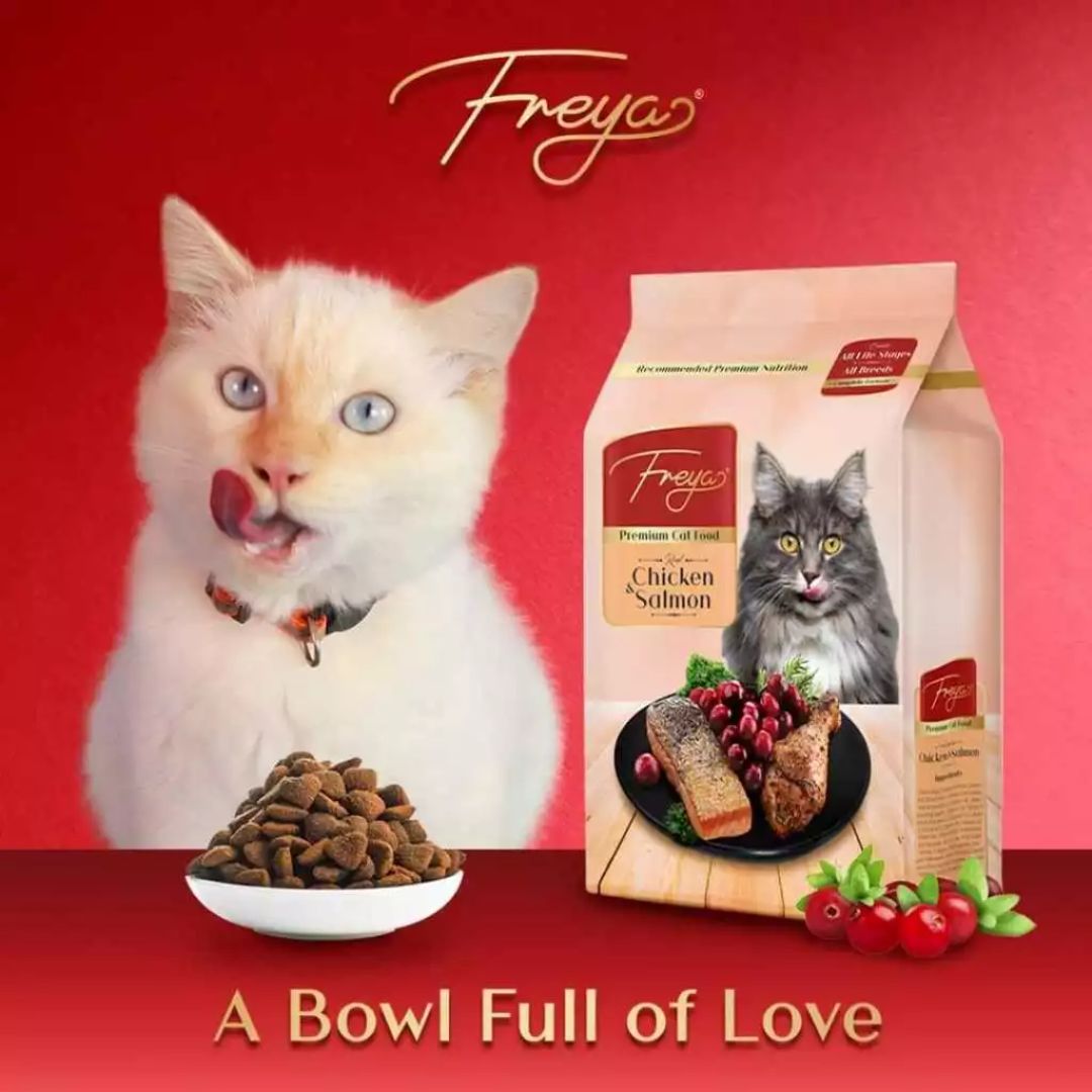 Freya Premium Dry Cat Food
