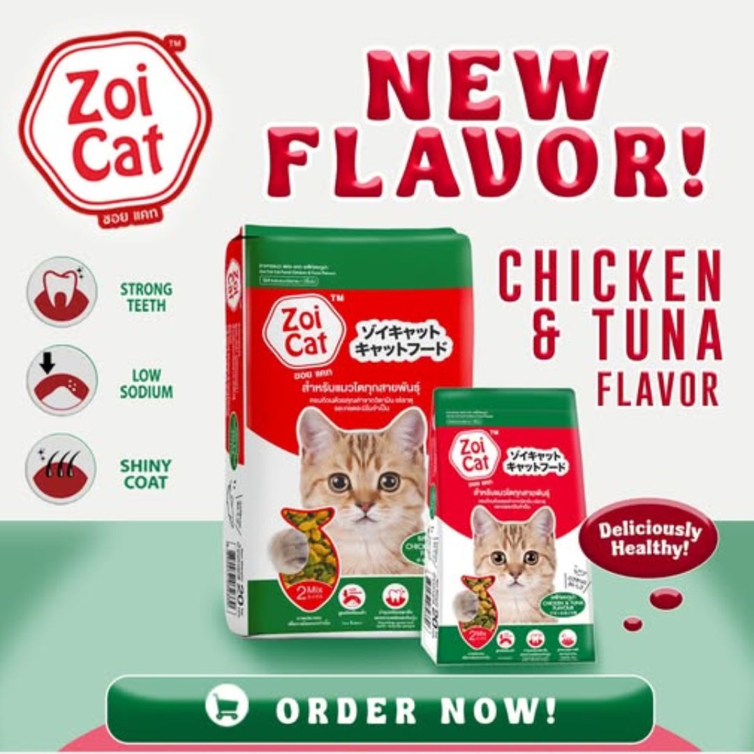 Zoi Dry Food For Cats