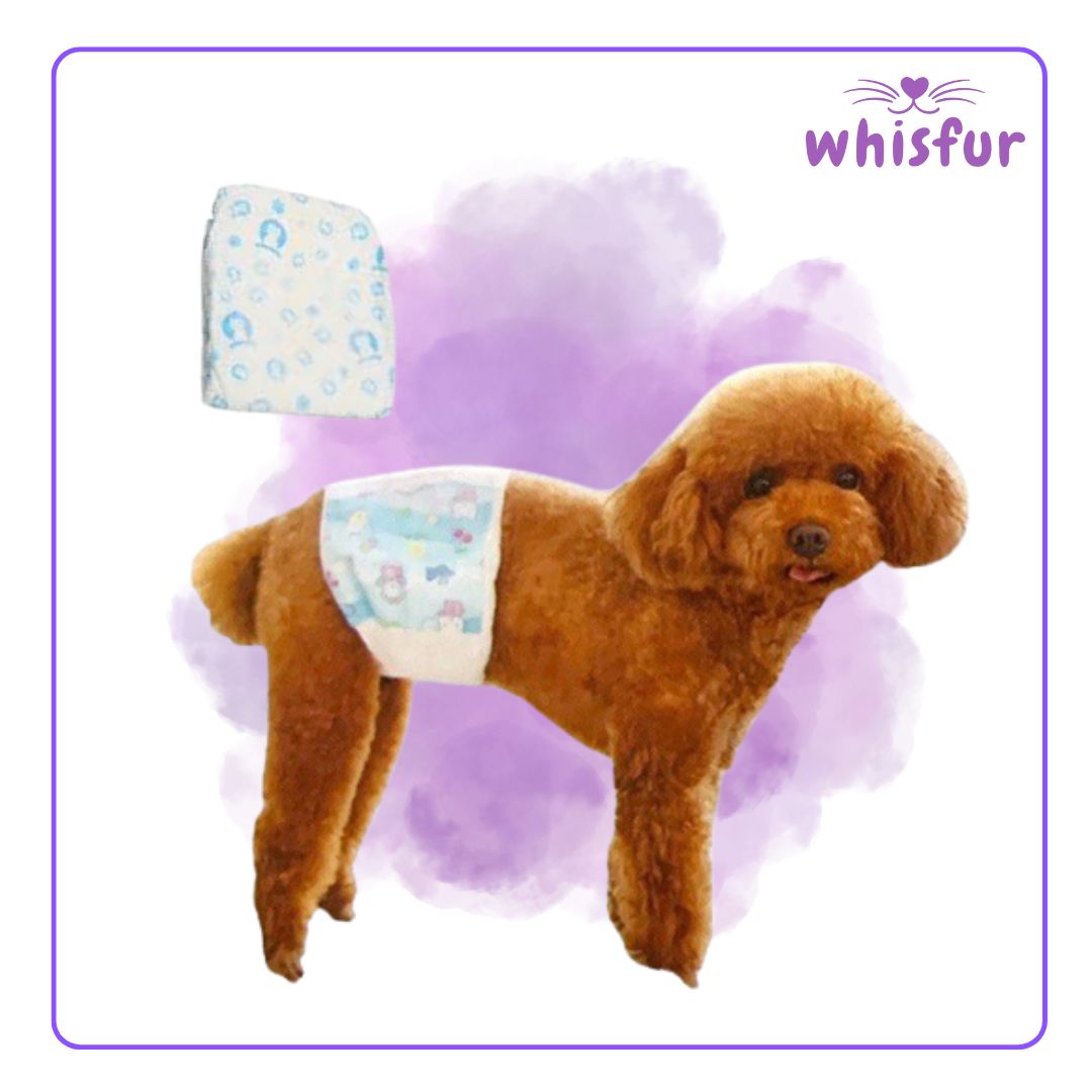 Pet Diaper for Male and Female Dogs