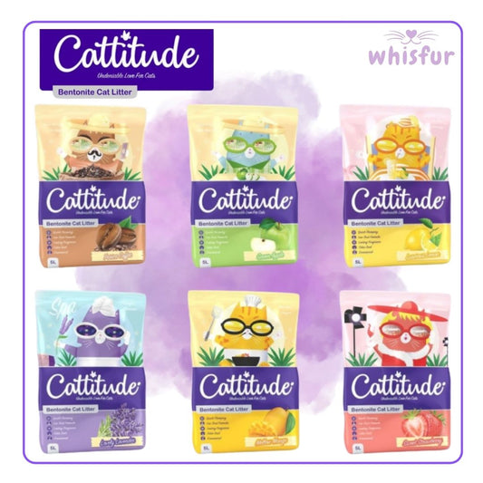 Cattitude cat litter packages with colorful labels on a purple background, branded 'whisfur'.