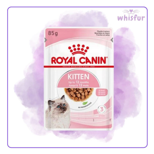 Royal Canin Kitten food pouch on a purple and white background, branded 'whisfur'.