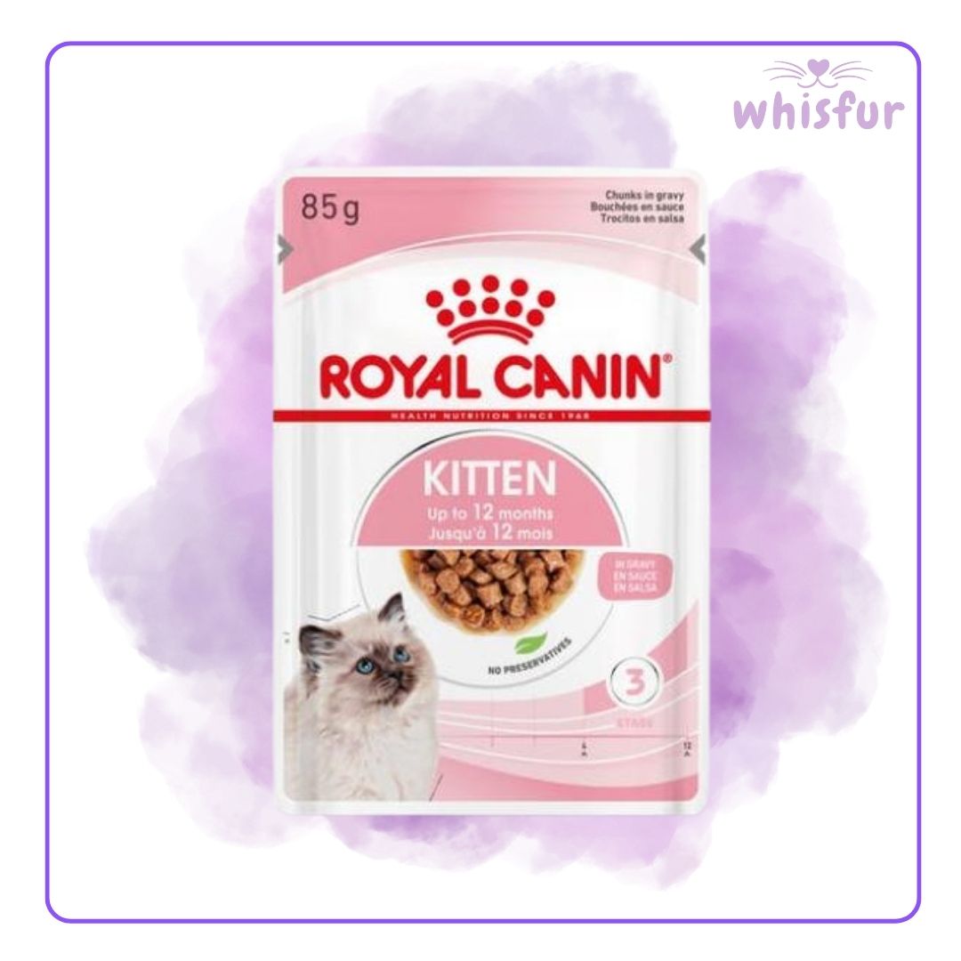 Royal Canin Kitten food pouch on a purple and white background, branded 'whisfur'.