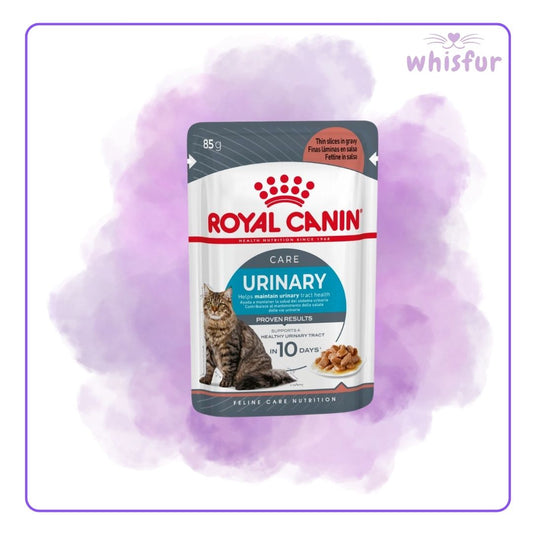 Royal Canin Urinary Care cat food pouch on a purple background, branded 'whisfur'.
