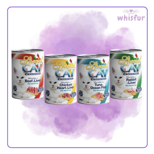 Four cans of Special Cat food with different flavors on a purple background, featuring the brand 'whisfur'.