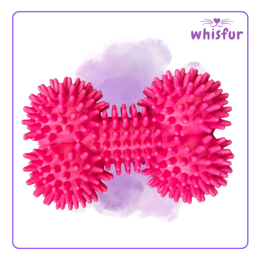 Pink textured dog toy with a purple background and 'Whisfur' branding.