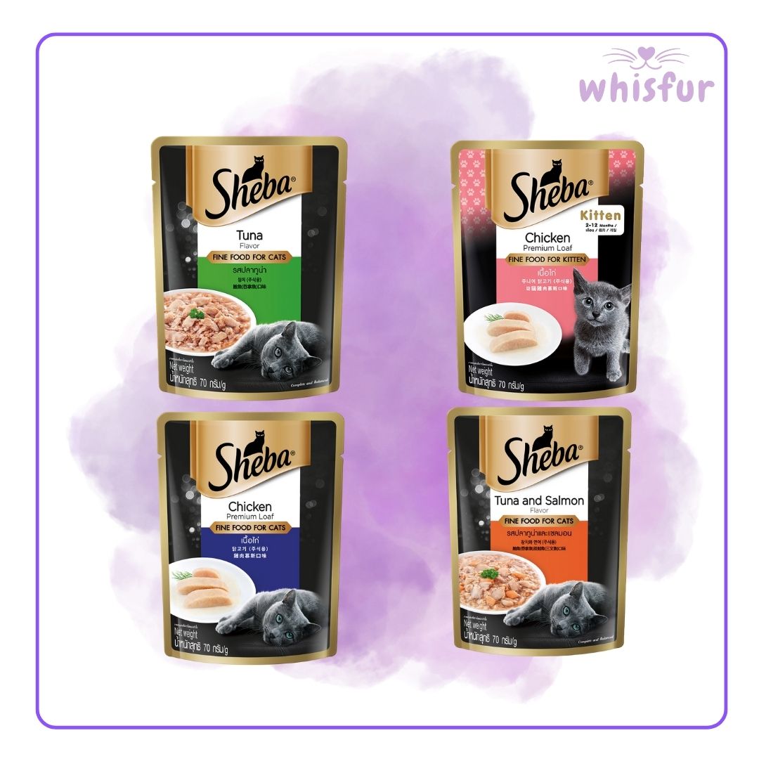 Four Sheba cat food pouches on a purple background with 'whisfur' branding.